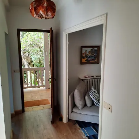 Maison Spacieuse Proche Du D'hossegor Avec Jardin, Terrasse Ensoleillee Et Independant - Fr-1-239-690 *